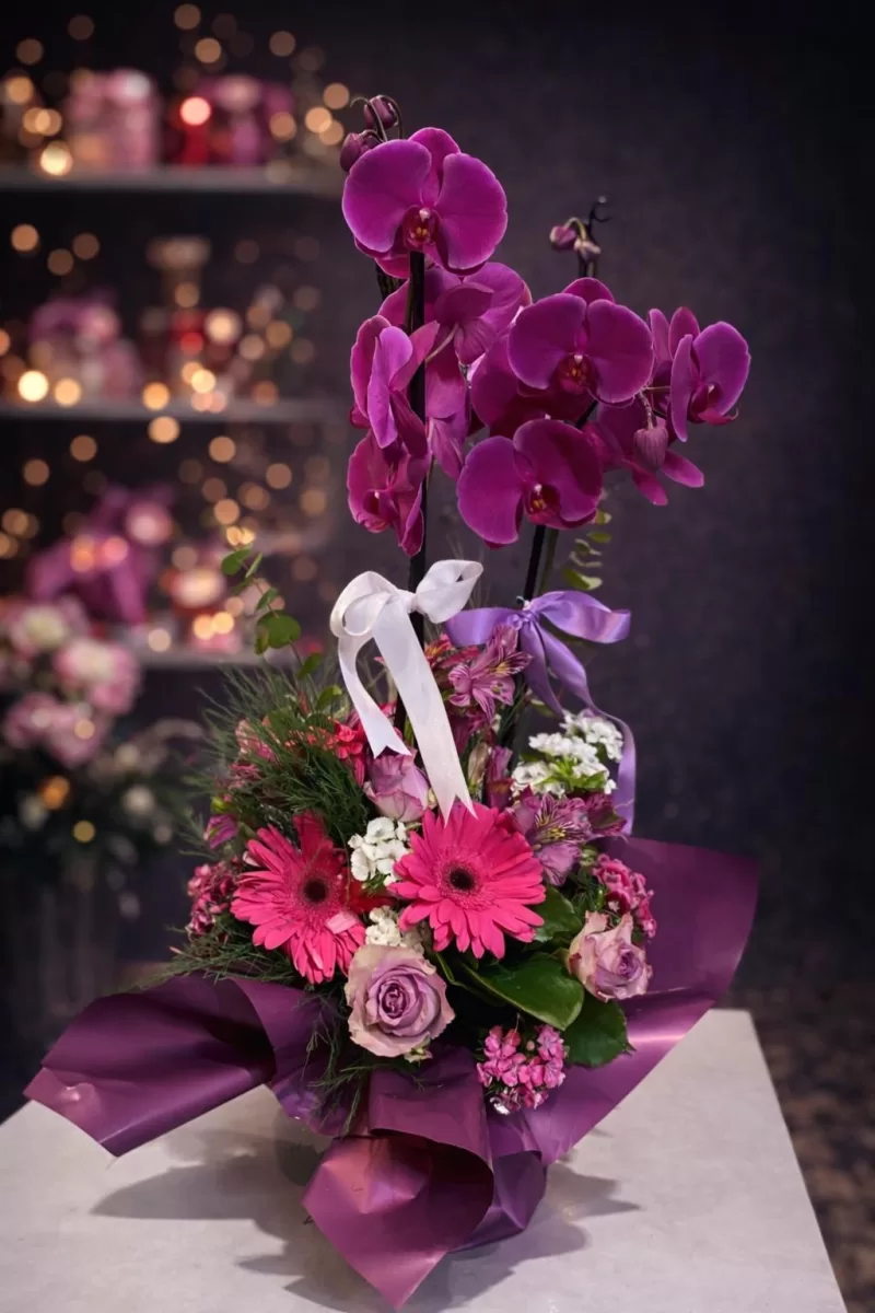 Mor Orkide & Gerbera Aranjmanı | Özel Tasarım Premium Çiçek