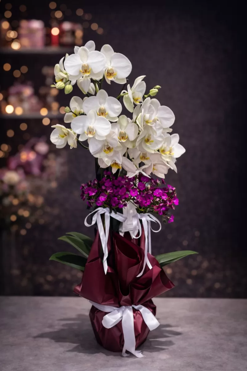 Beyaz Orkide & Mor Mevsim Çiçekleri | Asil Dokunuş