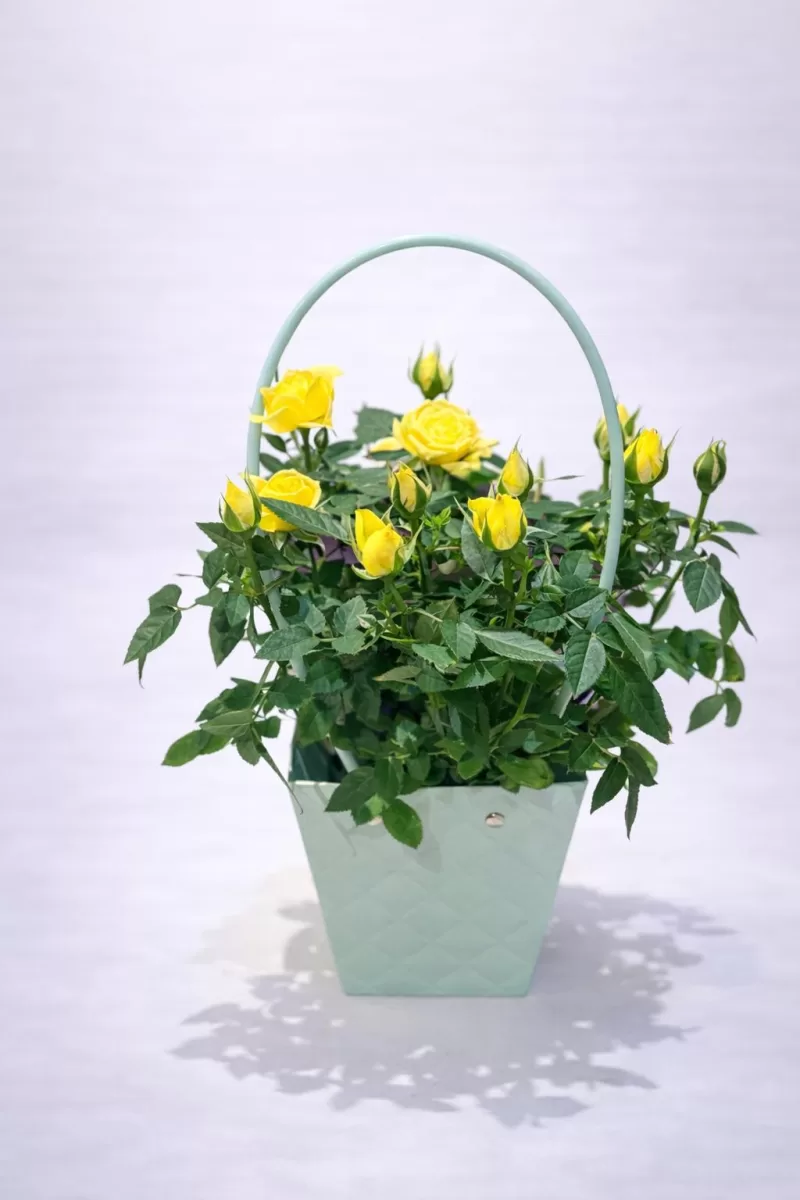 Mint Yeşili Kulplu Çantada Sarı Mini Gül
