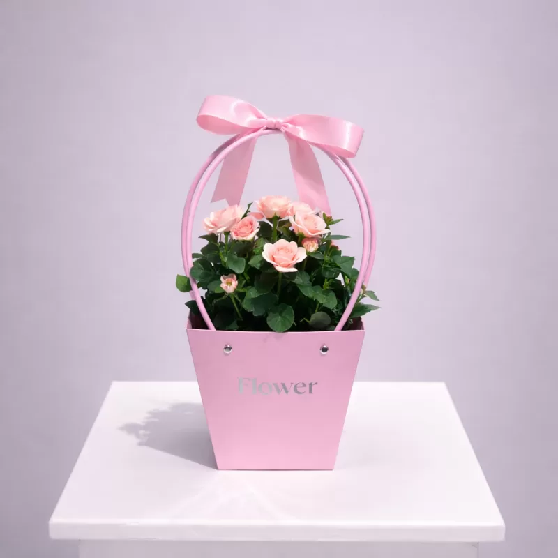 Pembe Mini Gül Saksı Çiçeği